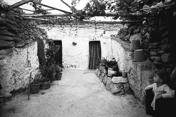 Los parrales adosados a las casas, convenientemente orientados, constituyen una forma de climatización orgánica: en invierno, sin hojas, los rayos del sol inciden sobre la fachada; en cambio, en verano, la plena expansión foliar limita sobremanera la radiación solar.