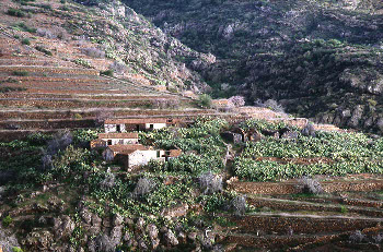 La regla de oro en la disposición de las construcciones campesinas sobre el terreno consistía en no consumir jamás suelo fértil. Las casas y otras dependencias se levantaron siempre sobre riscos, pedregales y suelos improductivos.