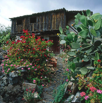 Aripe, Guía de Isora (foto: Marcos Bello García).