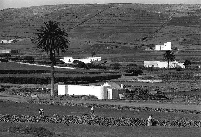 Los Valles, Lanzarote (foto: Francisco Rojas Fariña).