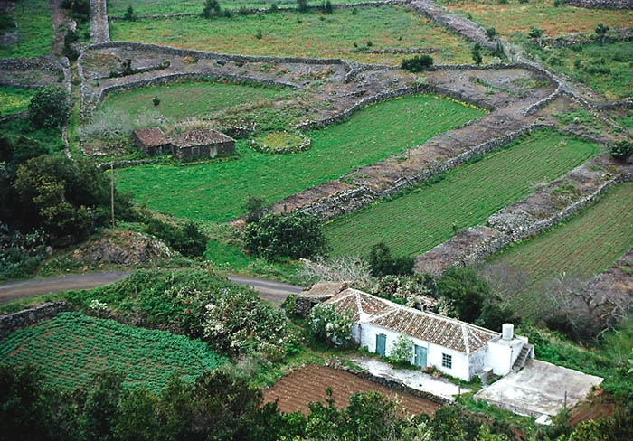 La Palma (foto: Antonio Manuel Díaz Rodríguez).