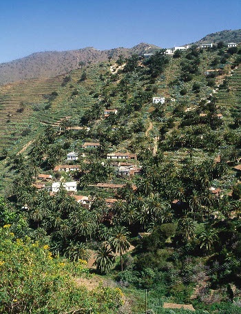 Caserío y palmeral de Tamargada, en La Gomera
