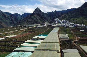 Invernaderos en La Aldea de San Nicolás, Gran Canaria (foto: Juan Mazuelas).