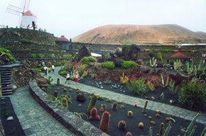 Jardín de Cactus de Lanzarote. Antigua Cantera de arena volcánica