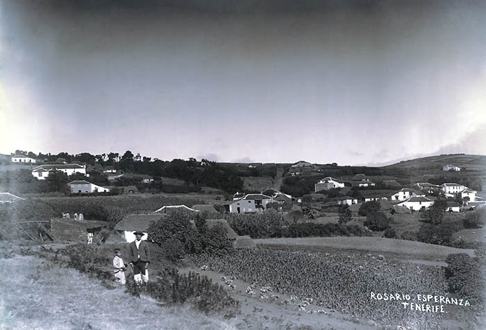 Vista de La Esperanza a finales del siglo XIX donde se puede apreciar la gran abundancia de casas con techos pajizos. Tenerife (CFIT).