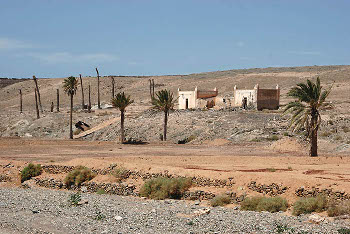 Gavias en el barranco de Ajuy, Fuerteventura.