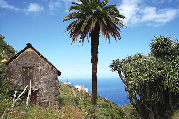 casa de techo de tablas y paredes de mampostería en Franceses, La Palma.