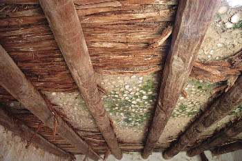 Vigas de madera sosteniendo una techumbre plana. Se aprecia el uso de las astillas de madera para aguantar y evitar la caída de tierra, grava y cal que conformaban la torta del techo y también el uso de lapas como elemento empleado en la elaboración de la techumbre. Haría, Lanzarote.