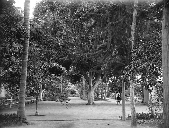 Jardines de Don Cayetano Lugo, ya desaparecido. A finales del S.XIX. Las Palmas de Gran Canaria.