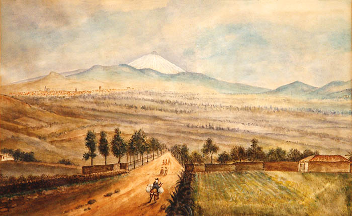 La vega lagunera vista desde las Mercedes en una acuarela de Alejandro de Ossuna y Saviñón (segunda mitad del s. XIX). Colección particular.