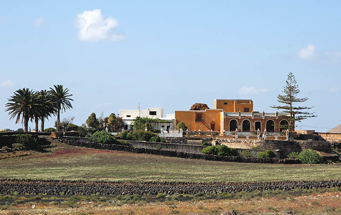 Vivienda ''noble'' en Lanzarote en la que destacan la simbólica araucaria, las nativas palmeras y algunas higueras.
