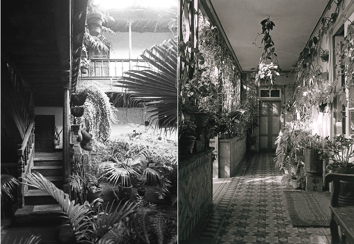 Distintos tipos de patios y galerías interiores con arbustos y helechos (fotos: Izquierda: Carlos A. Schwartz. Derecha Francisco Rojas Fariña).