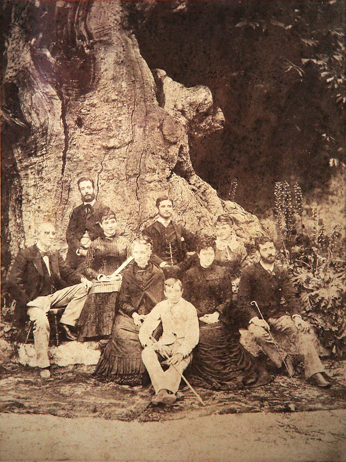 Foto familiar en el vetusto castaño del Marques de la Candia, La Orotava, finales del S. XIX