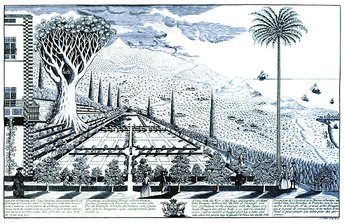 Famoso diseño del jardín de Franchy Alfaro, villa de La Orotava, a finales del siglo XVIII, con el drago ''milenario'' y la palmera de la Conquista. Grabado de Simon Cattoir.