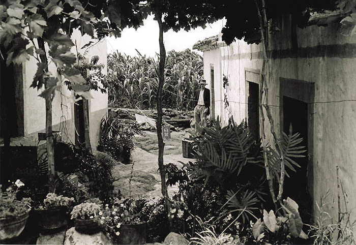 Patio con emparrado y plantas ornamentales. Moya, Gran Canaria (foto: Francisco Rojas Fariña).