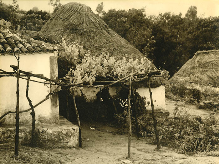 Chozas pajizas junto a vivenda tradicional con patios y parral.